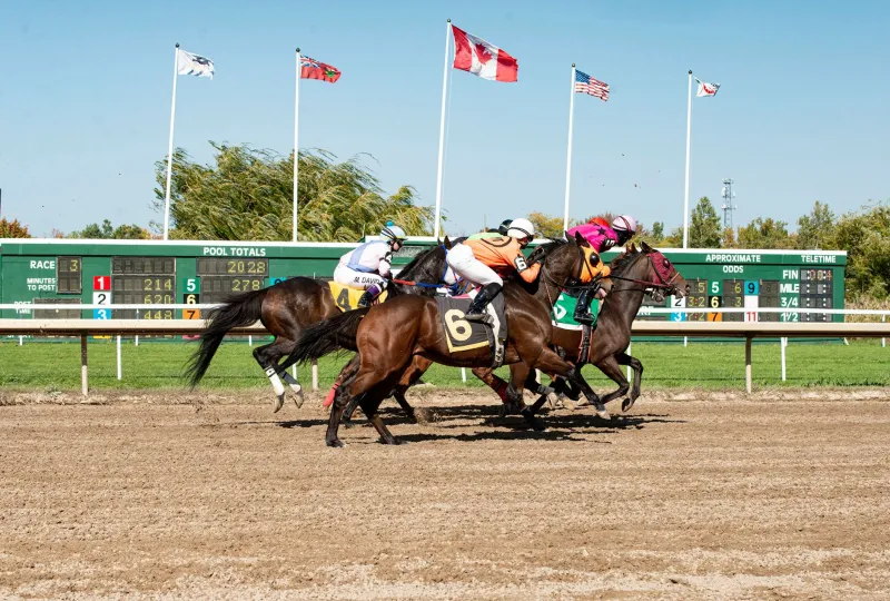 Guaranteed Money on the Table: How Arbitrage Betting Works and Why Sportsbooks Are Gunning for You